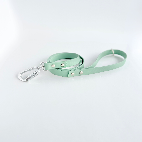 Leashes