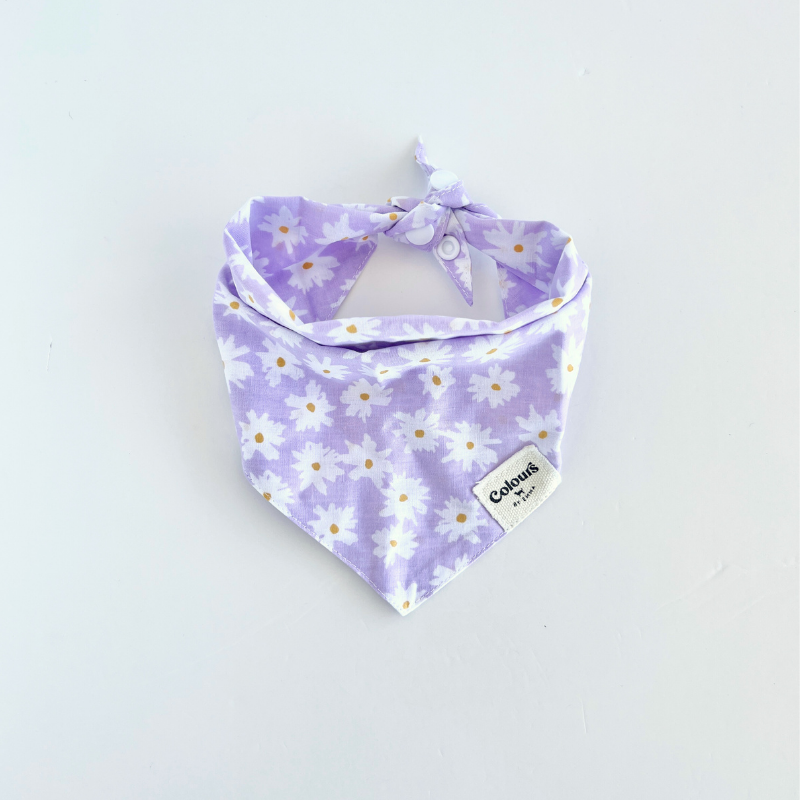 Belle Bandana