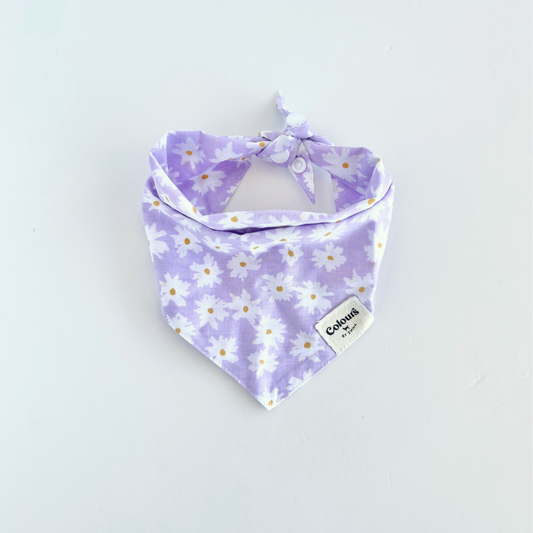 Belle Bandana