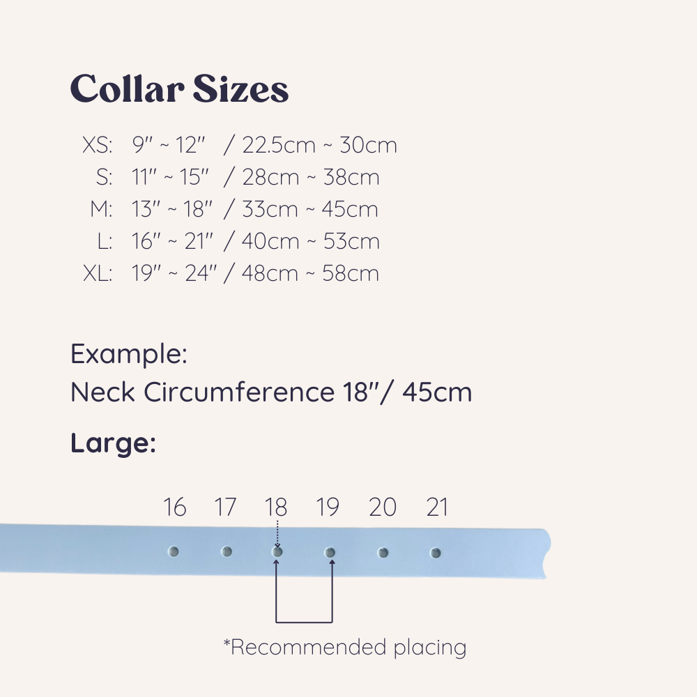 Lavender Original Collar