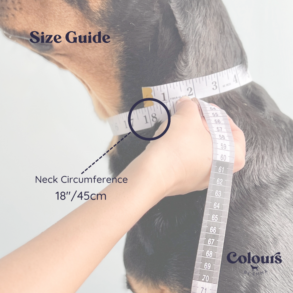 Lavender Original Collar