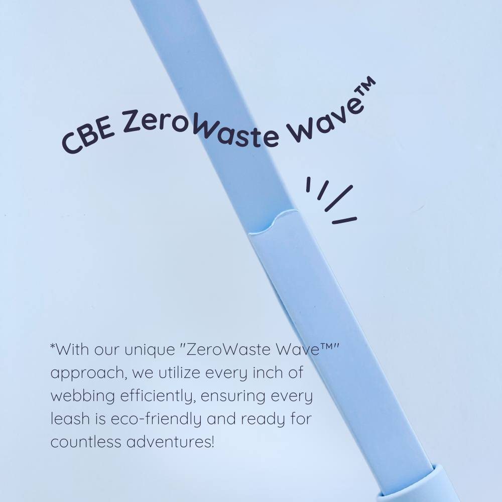 Cloud Original Leash