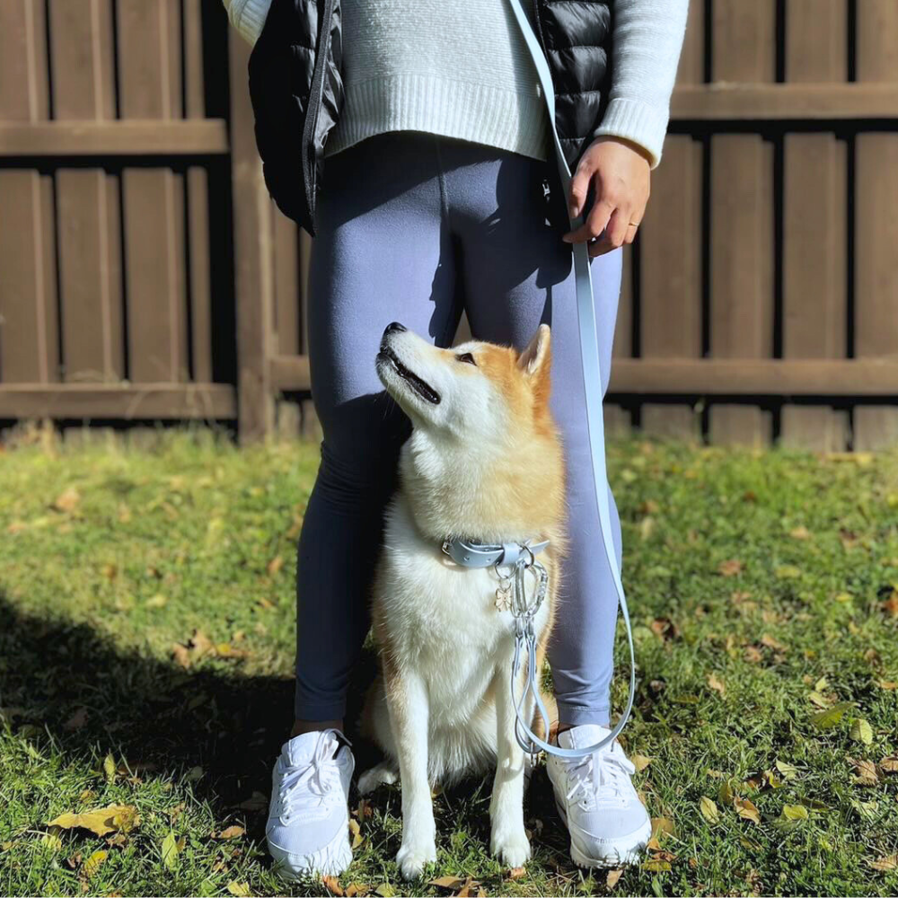 Cloud Original Leash