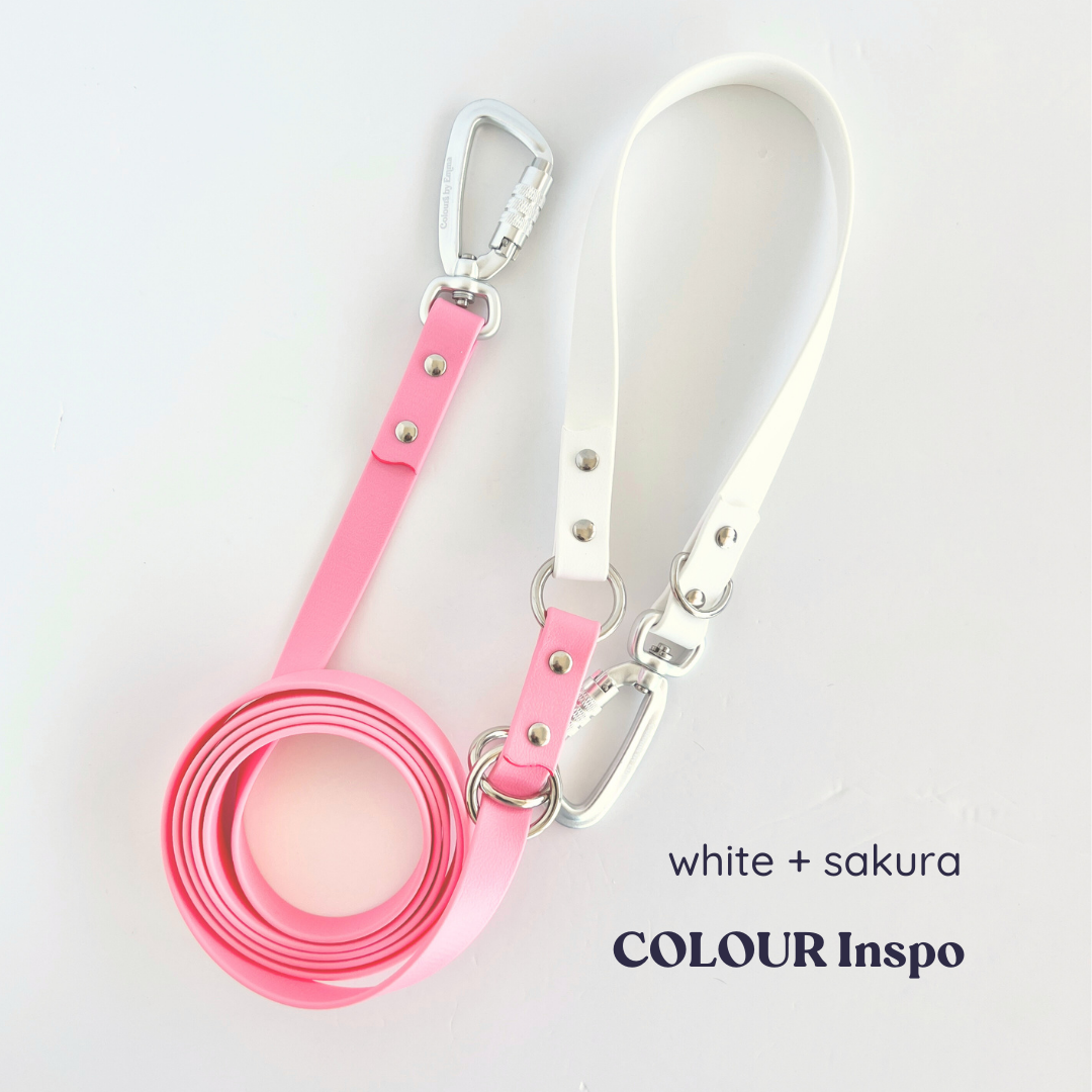 Colour Your Own Multi Use Hands Free Leash
