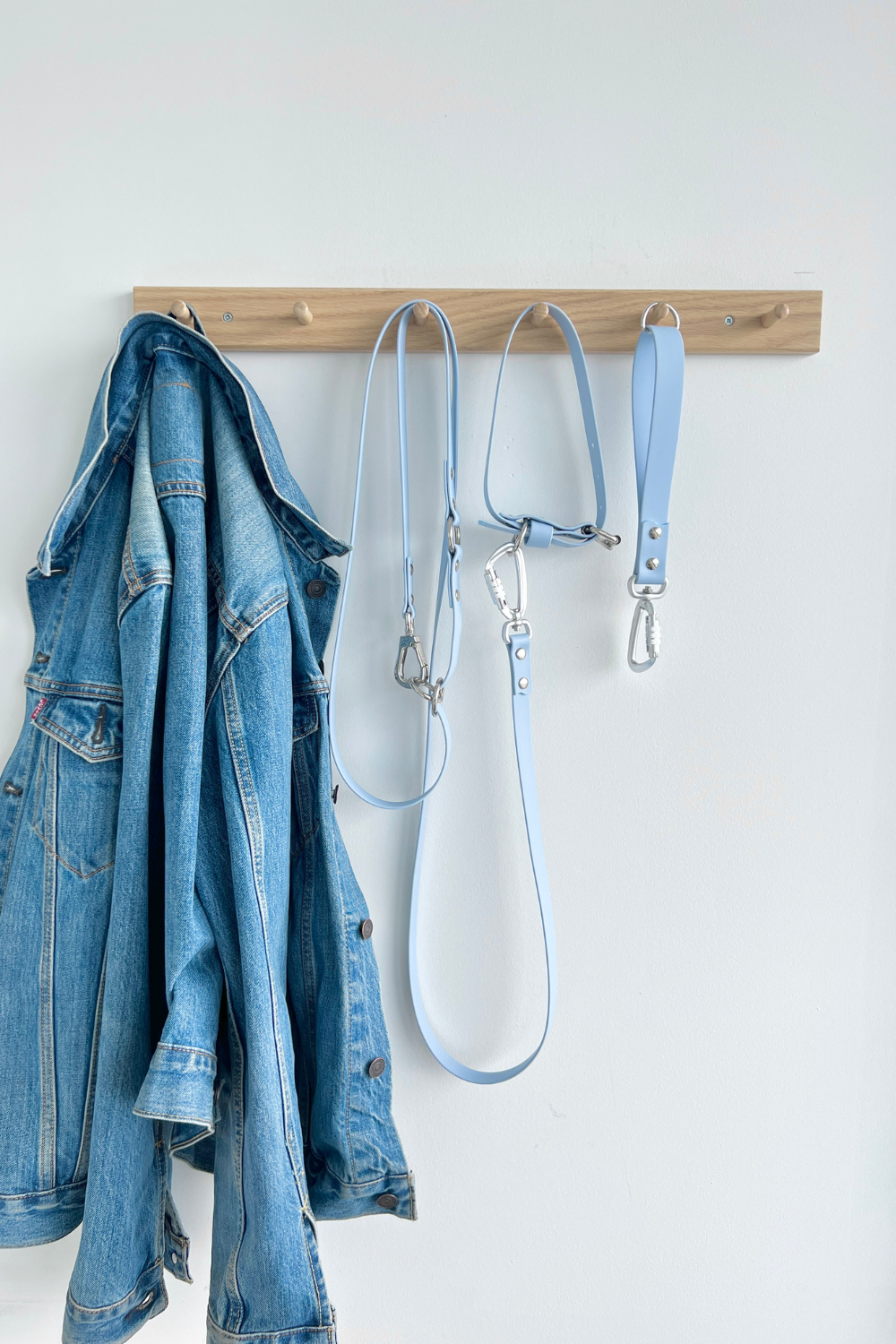 Cloud Multi Use Hands Free Leash
