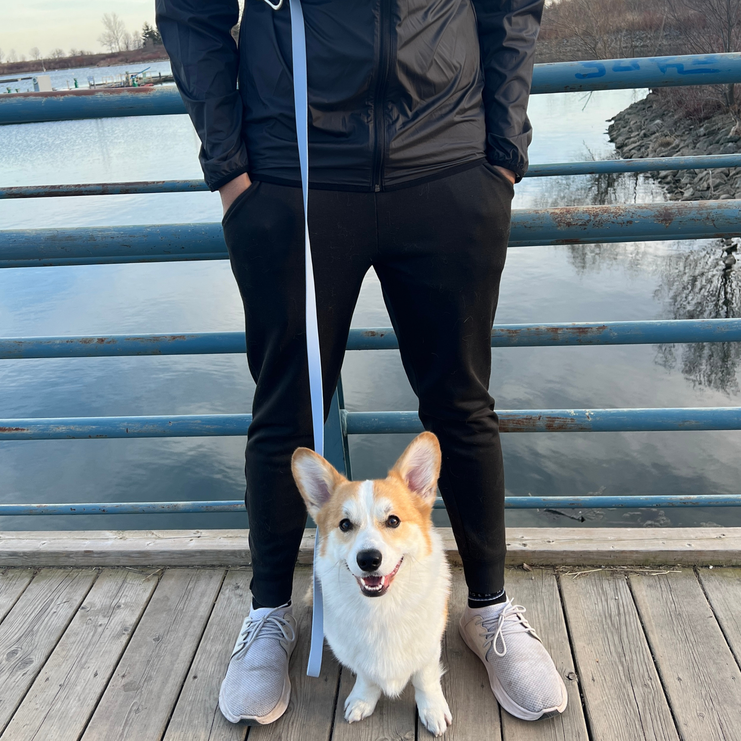 Cloud Multi Use Hands Free Leash