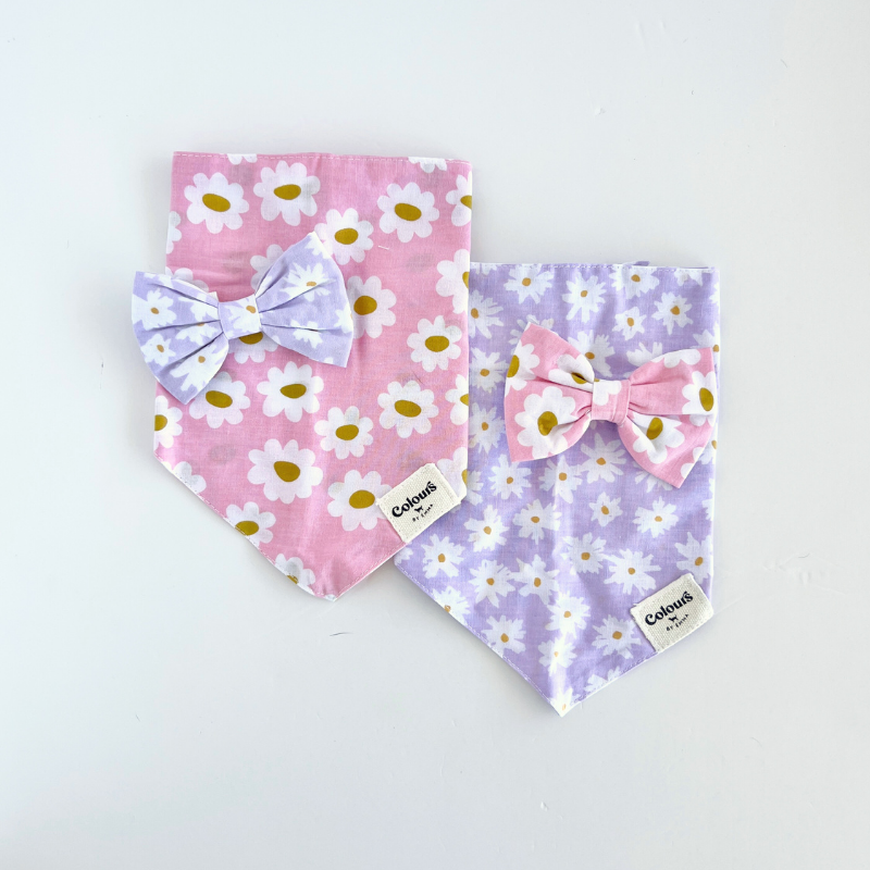 Belle Bandana