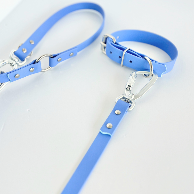 Fuji Multi Use Hands Free Leash