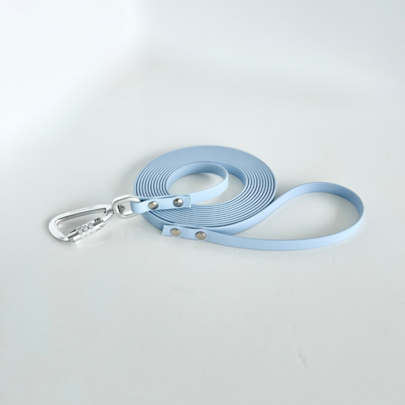 Cloud Training Long Leash