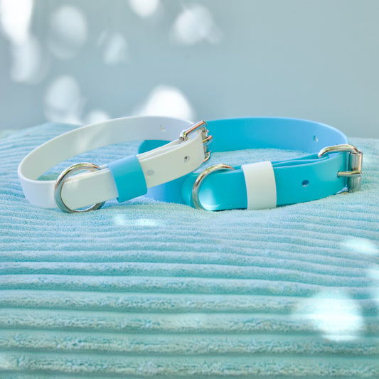 Found x CBE Original Collar Sky Blue + White