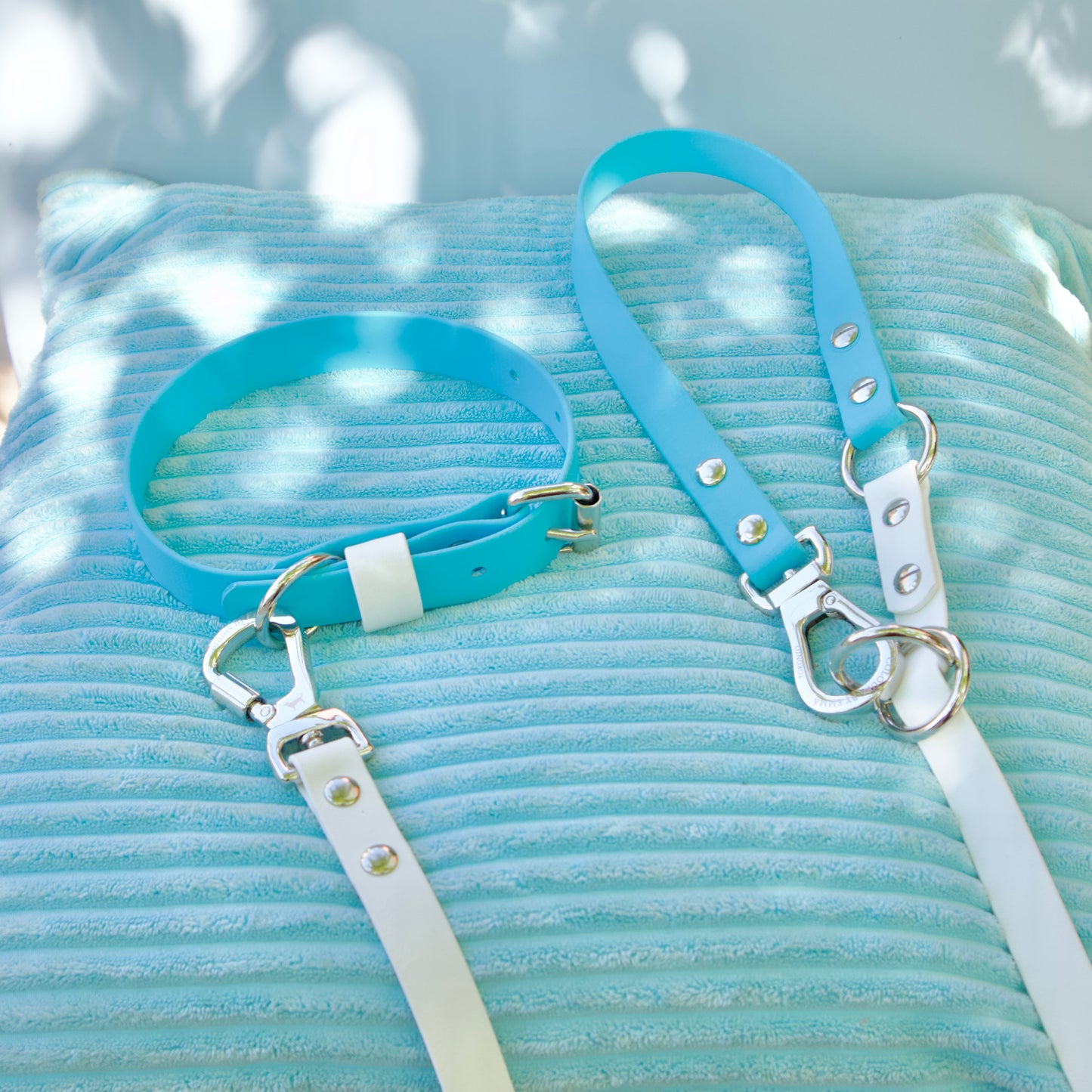 Found x CBE Hands Free Leash