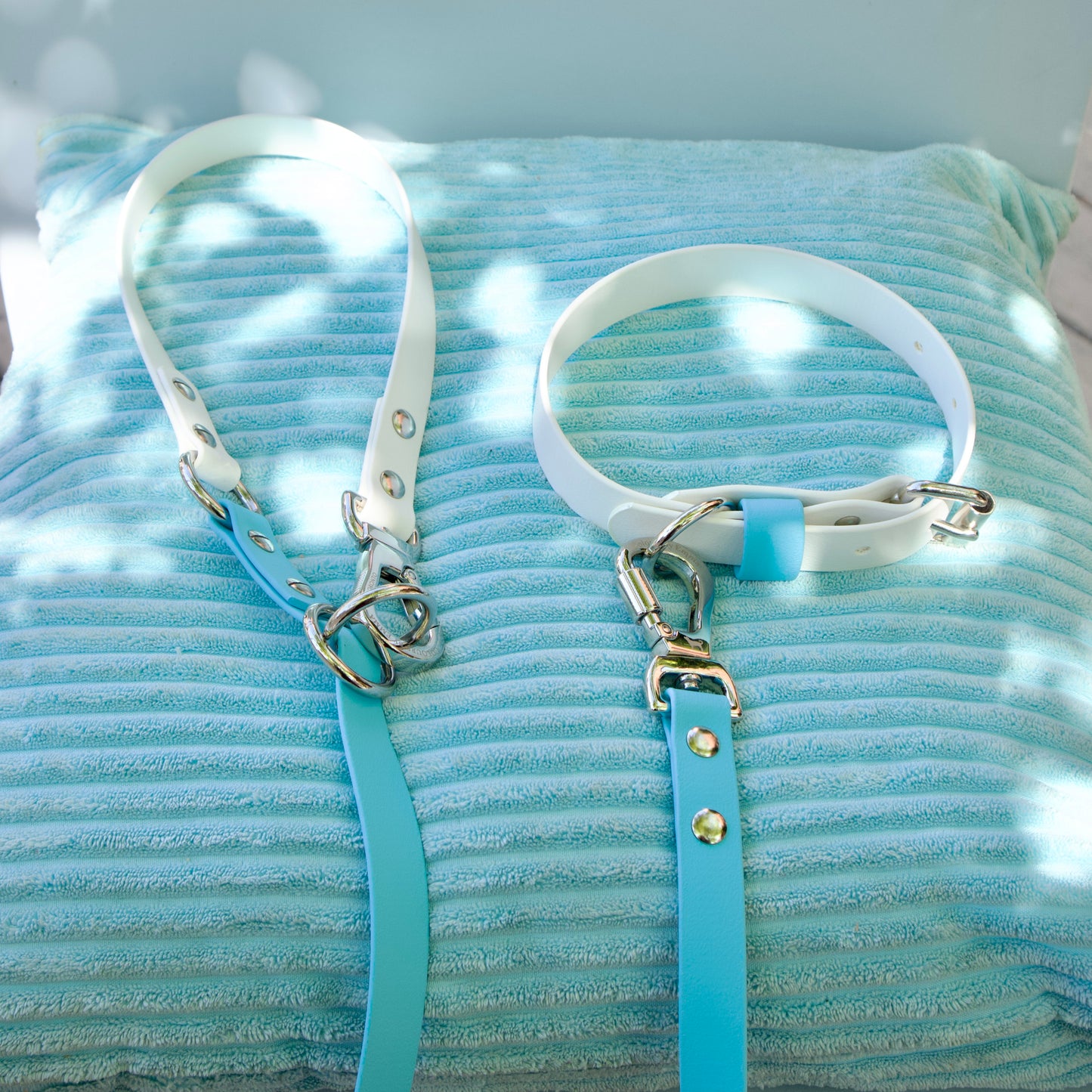 Found x CBE Hands Free Leash