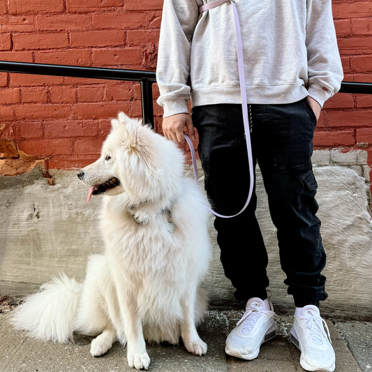 Lavender Multi Use Hands Free Leash