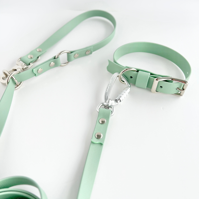 Sage Multi Use Hands Free Leash