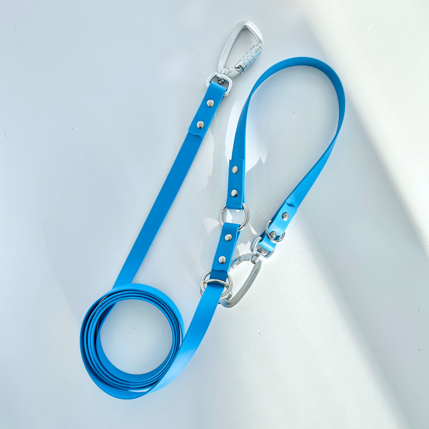 Blue Multi Use Hands Free Leash