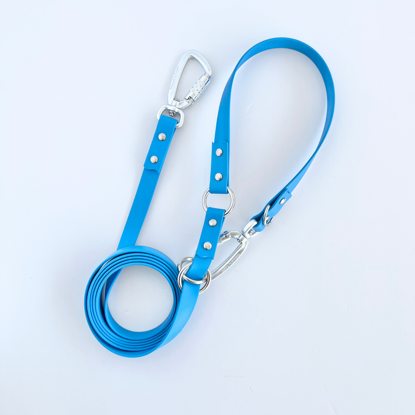 Blue Multi Use Hands Free Leash