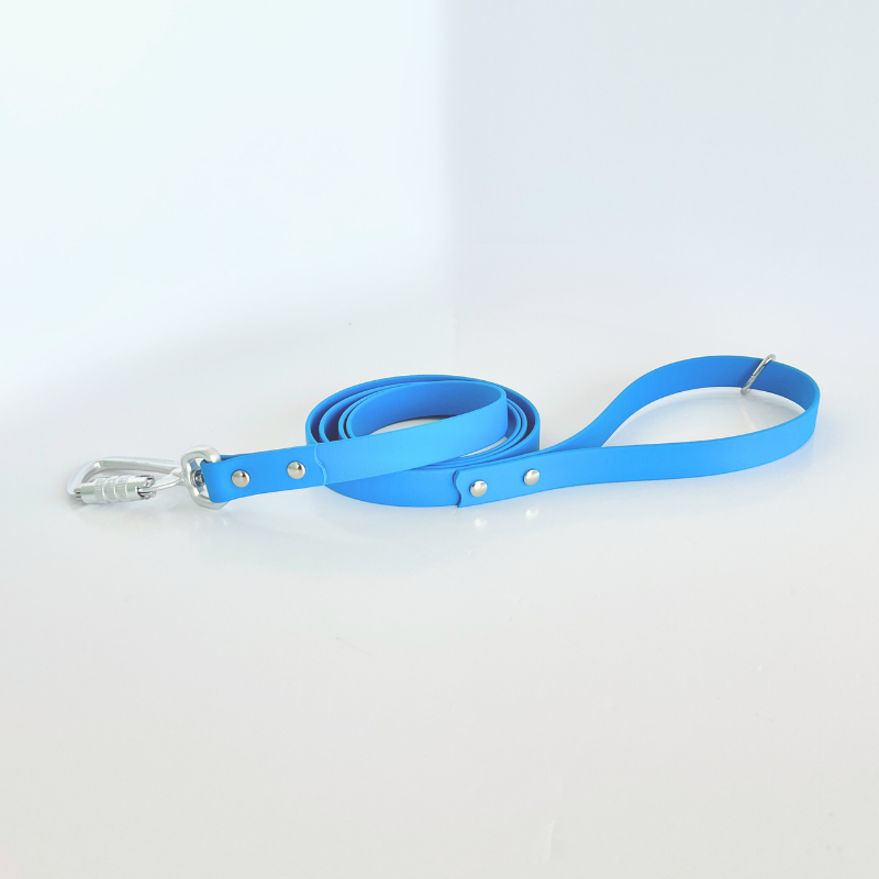 Blue Original Leash
