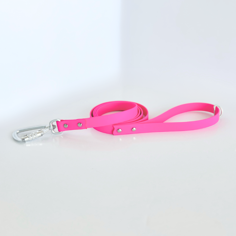 Dragon Fruit Pink Original Leash