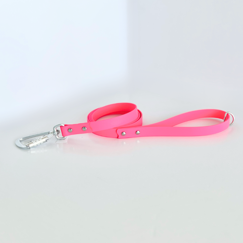 Neon Pink Original Leash