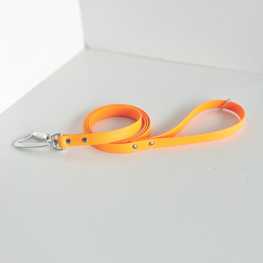 SS - Neon Orange Original Leash