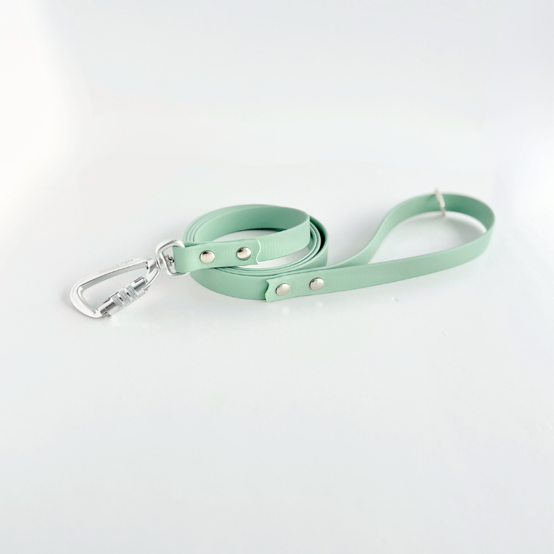 Sage Original Leash