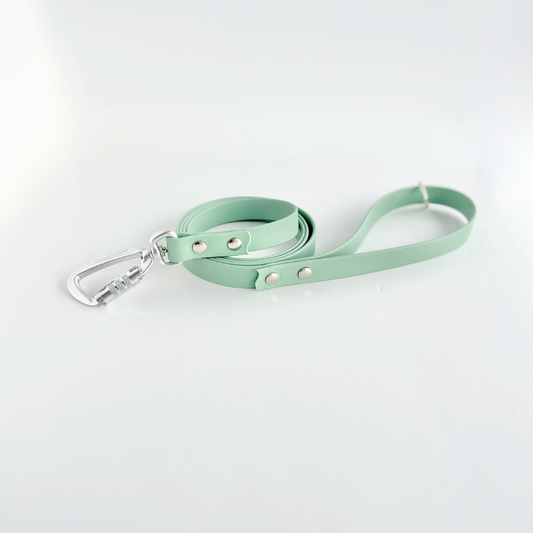 Sage Original Leash