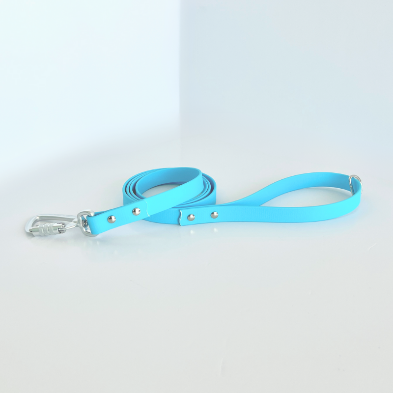 Sky Original Leash