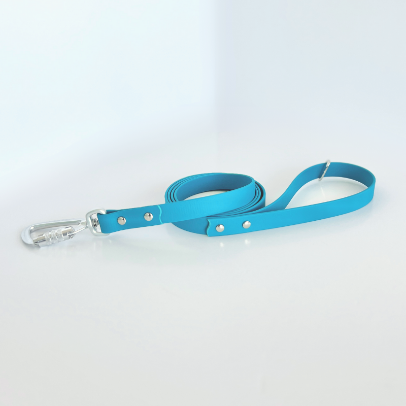 Turquoise Original Leash