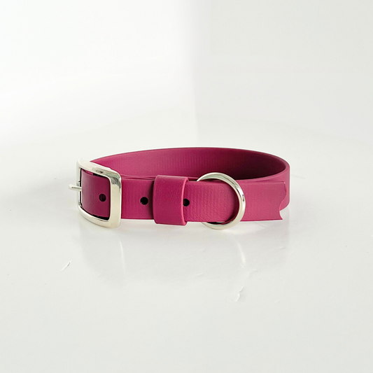 Burgundy Original Collar