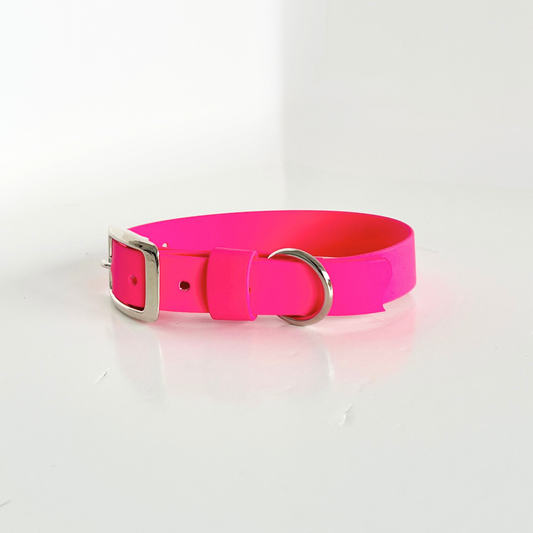 Dragon Fruit Pink Original Collar