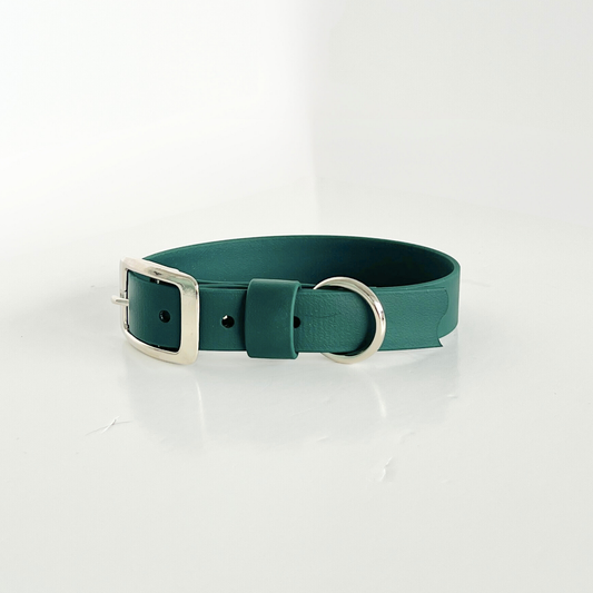 Forest Green Original Collar