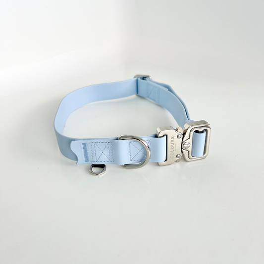 Light blue dog collar with silver hardware on a light gray background