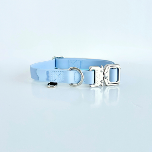 Light blue dog collar with a silver buckle on a light gray background