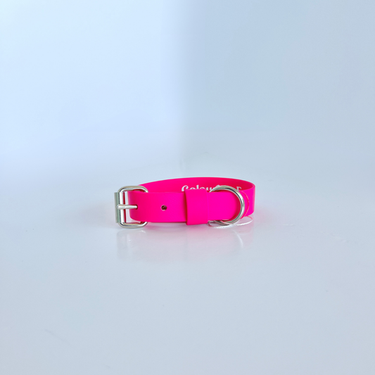 SS - Dragon Fruit Pink Collar