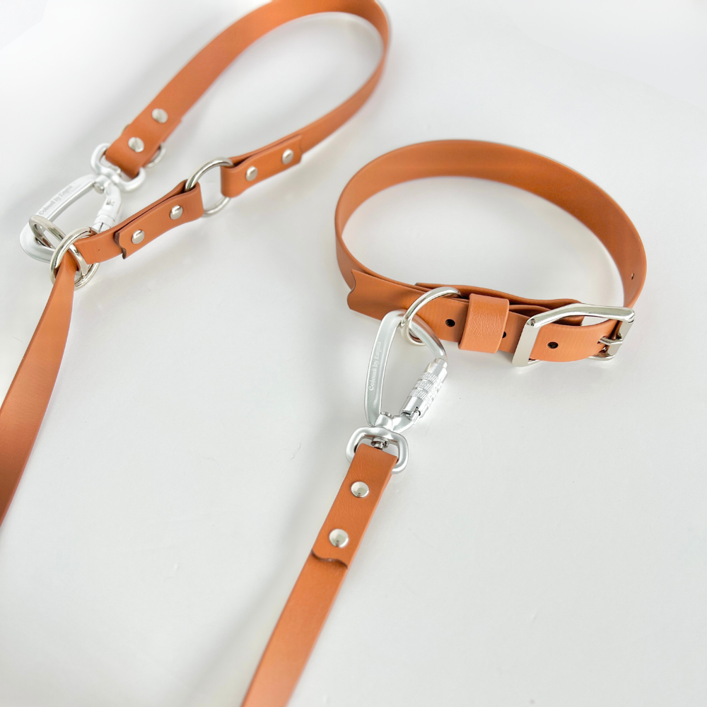 Tan Original Collar