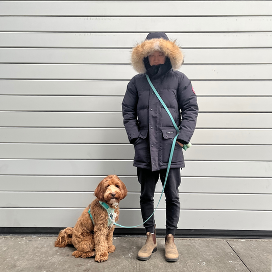 Tide Multi Use Hands Free Leash
