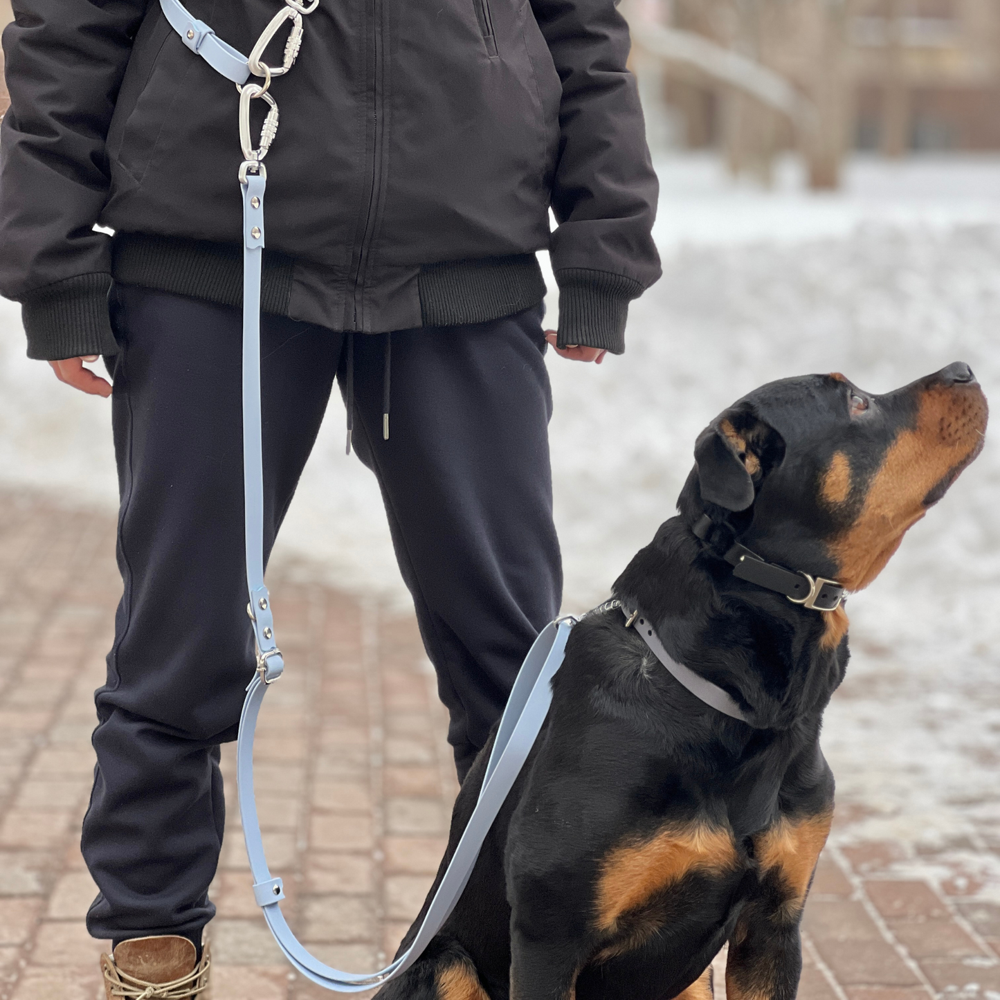 Two-Piece Hands Free Leash | Body Strap + Leash Set