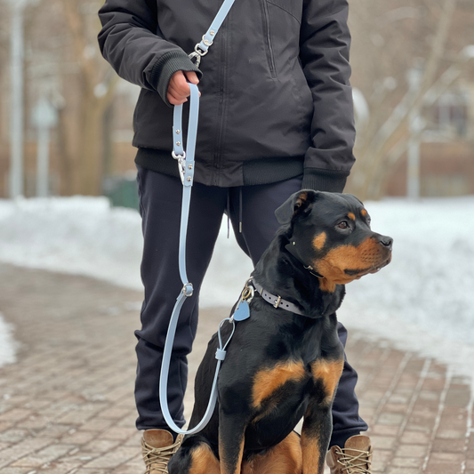 Two-Piece Hands Free Leash | Body Strap + Leash Set