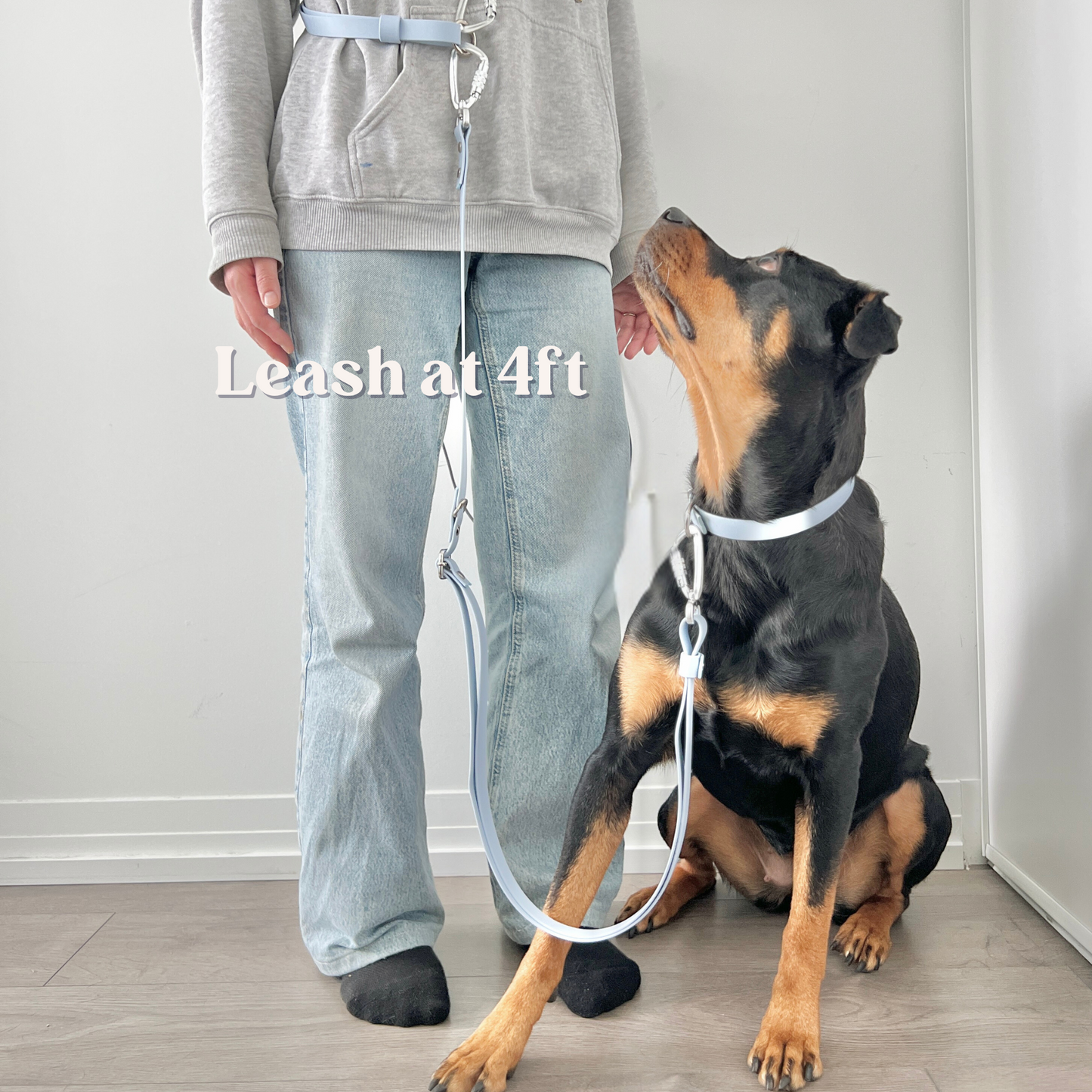 Two-Piece Hands Free Leash | Body Strap + Leash Set