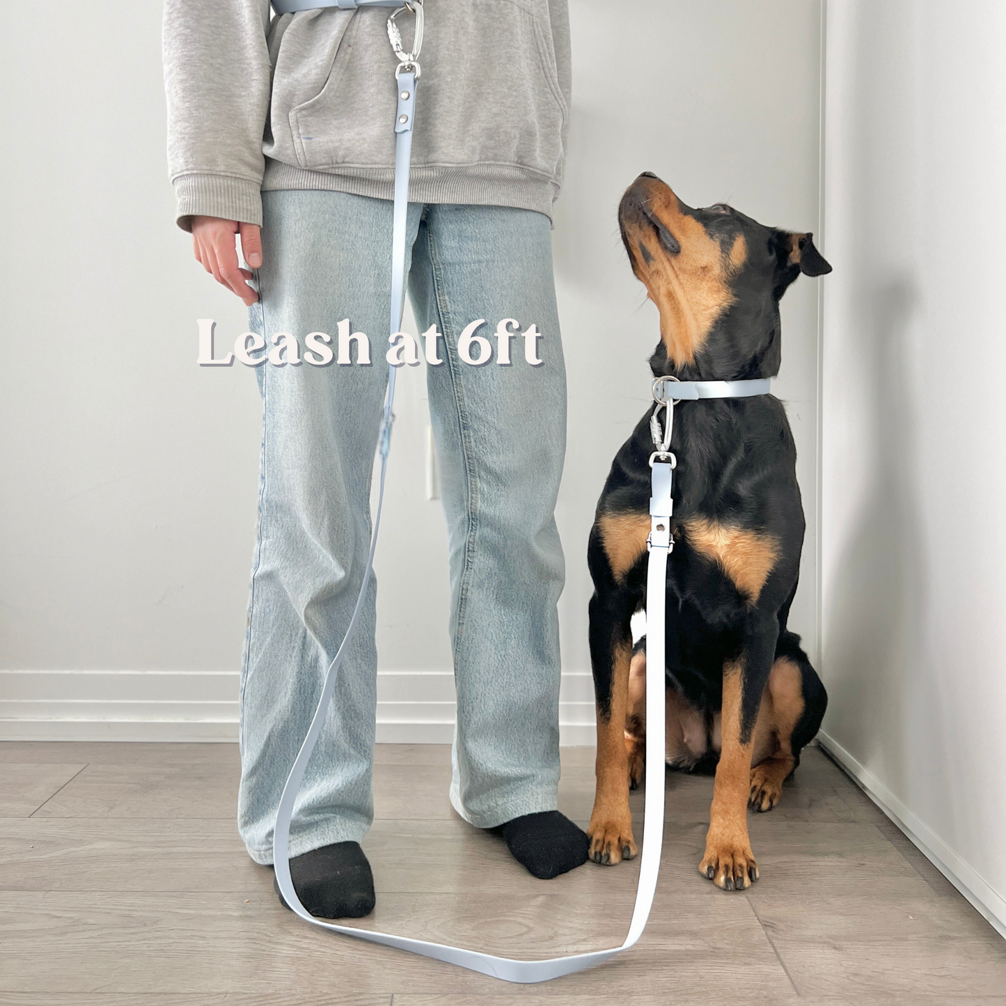 Two-Piece Hands Free Leash | Body Strap + Leash Set