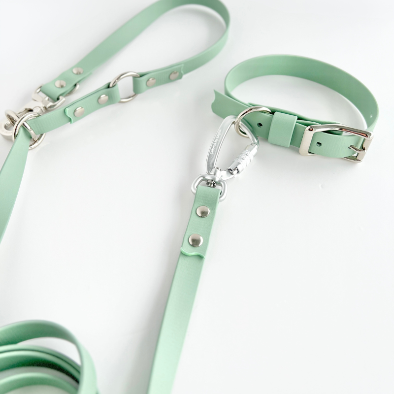 Brightly lit pastel green vegan leather hands free dog leash and collar by Colours By Emma on a white background.