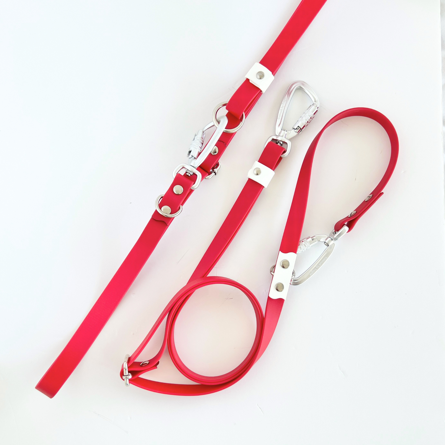 Two-Piece Hands Free Leash Lunar New Year 2025 - Body Strap + Leash Set