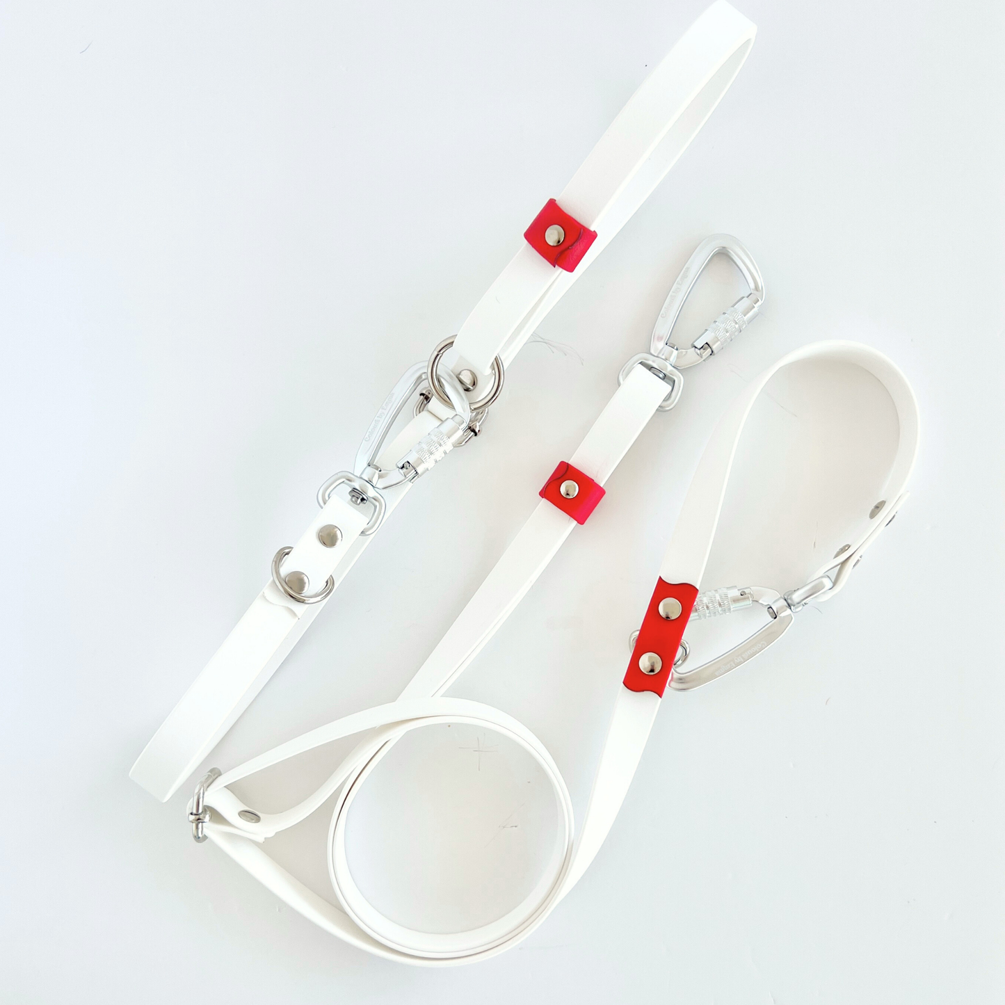 Two-Piece Hands Free Leash Lunar New Year 2025 - Body Strap + Leash Set