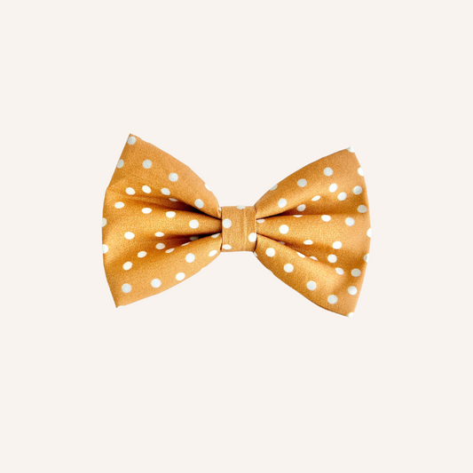 Golden yellow polka dot dog bow tie