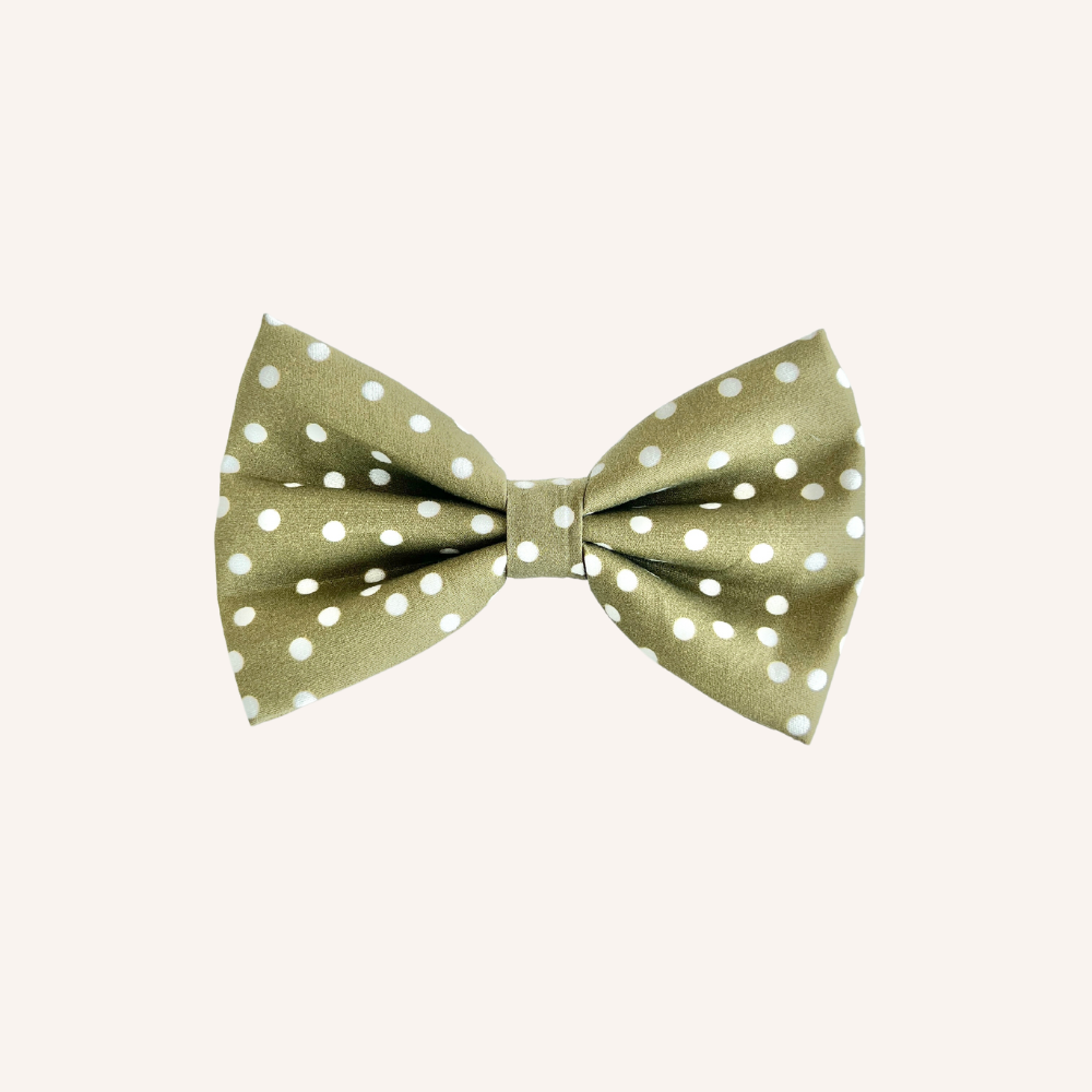 Olive green polka dot dog bow tie
