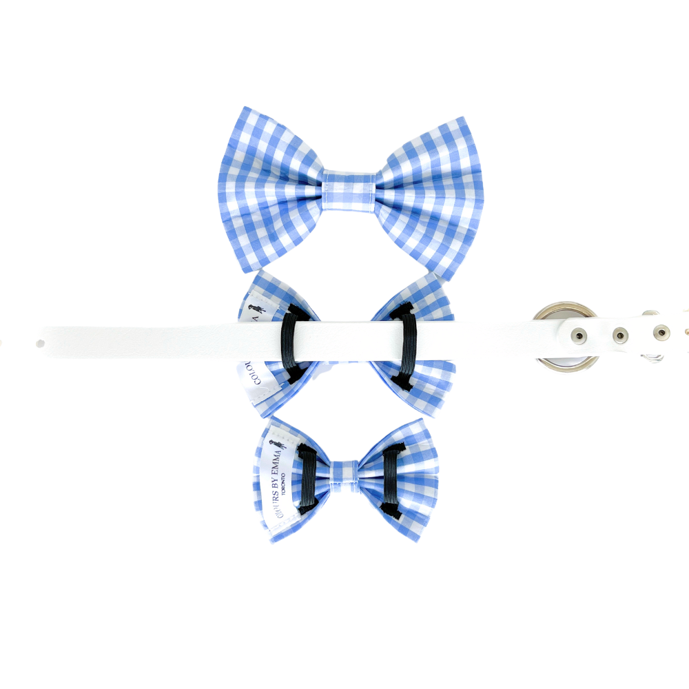 Dog bow ties in different sizes 