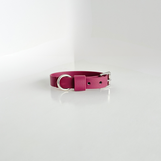 SS - Burgundy Collar