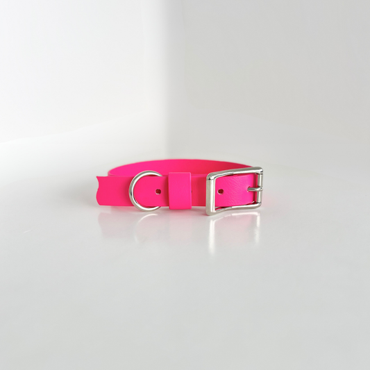SS - Dragon Fruit Pink Collar