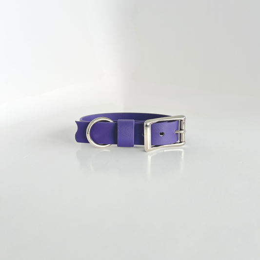 SS - Purple Collar