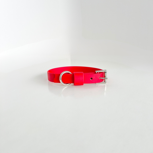 SS - Red Collar